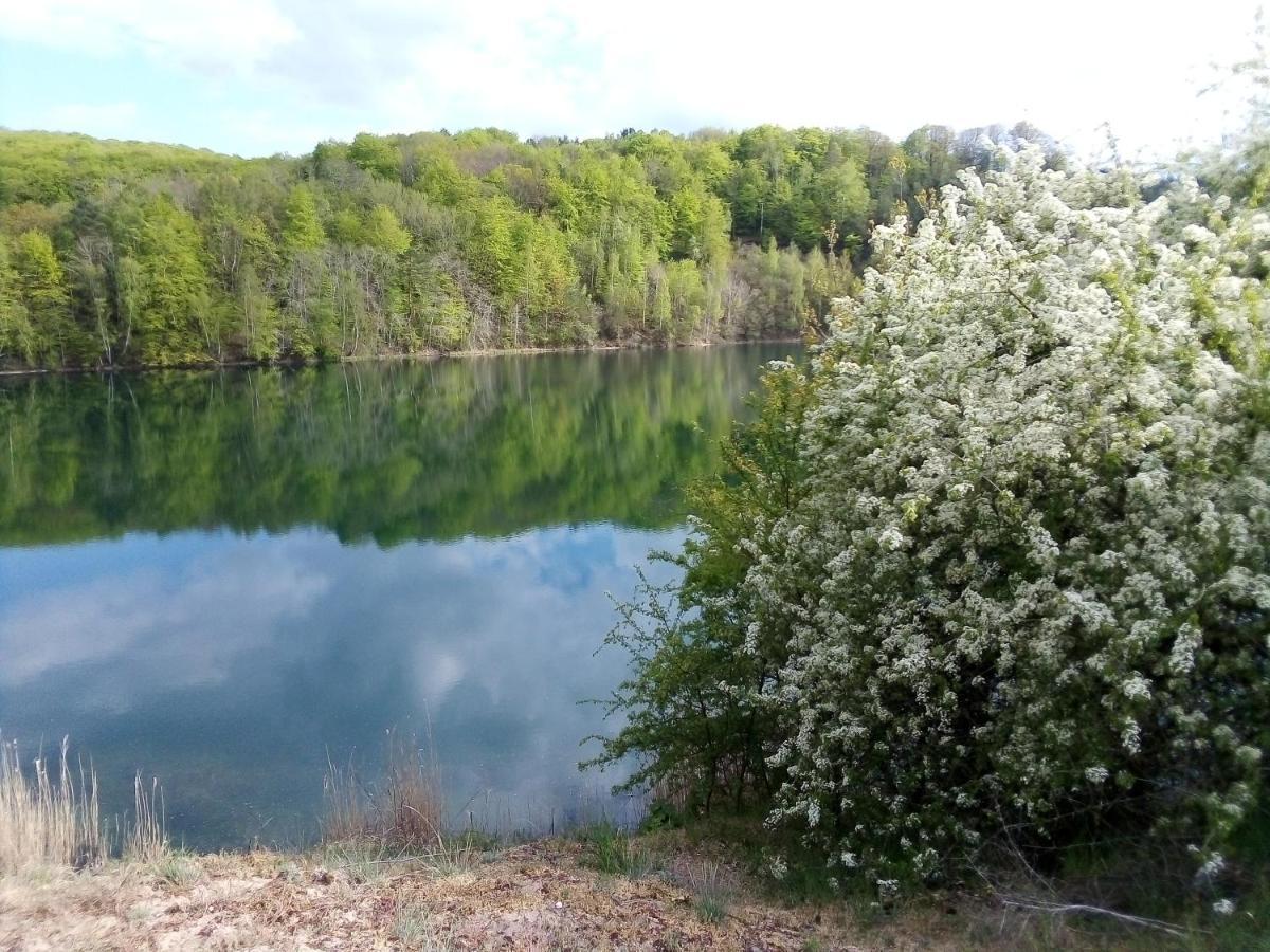 Domek Pod Swierkiem Wapnica  Esterno foto